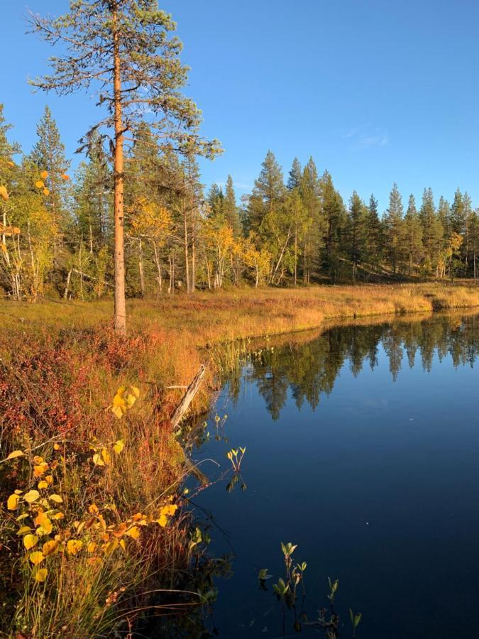 Off-Grid Cabin In Nattavaara Lapland Εξωτερικό φωτογραφία