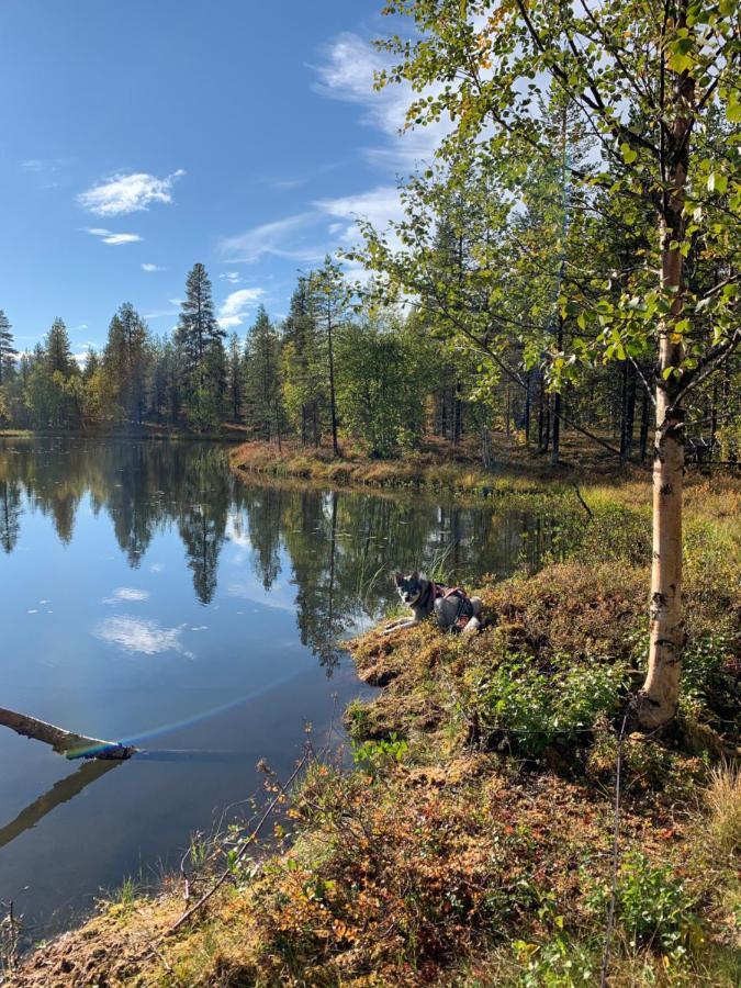 Off-Grid Cabin In Nattavaara Lapland Εξωτερικό φωτογραφία