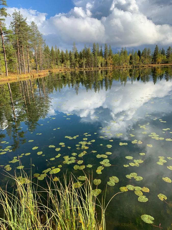 Off-Grid Cabin In Nattavaara Lapland Εξωτερικό φωτογραφία