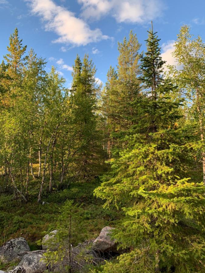 Off-Grid Cabin In Nattavaara Lapland Εξωτερικό φωτογραφία