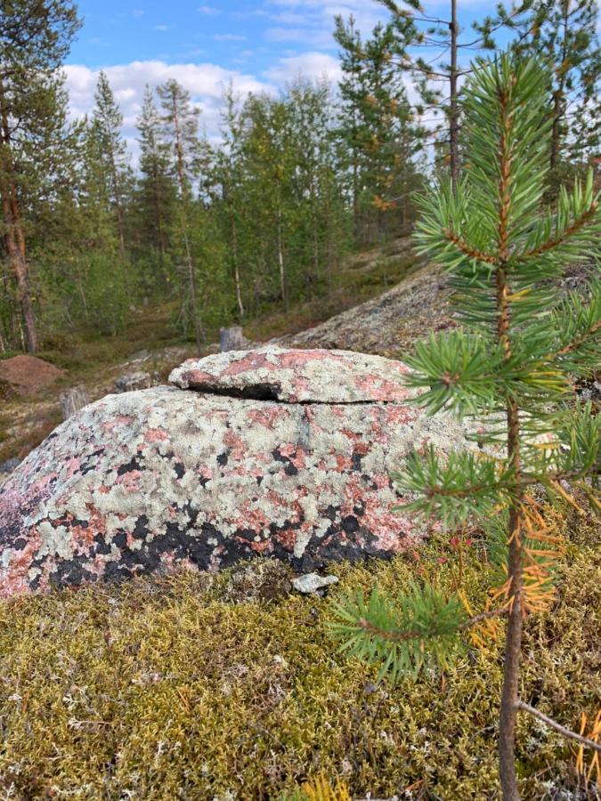 Off-Grid Cabin In Nattavaara Lapland Εξωτερικό φωτογραφία