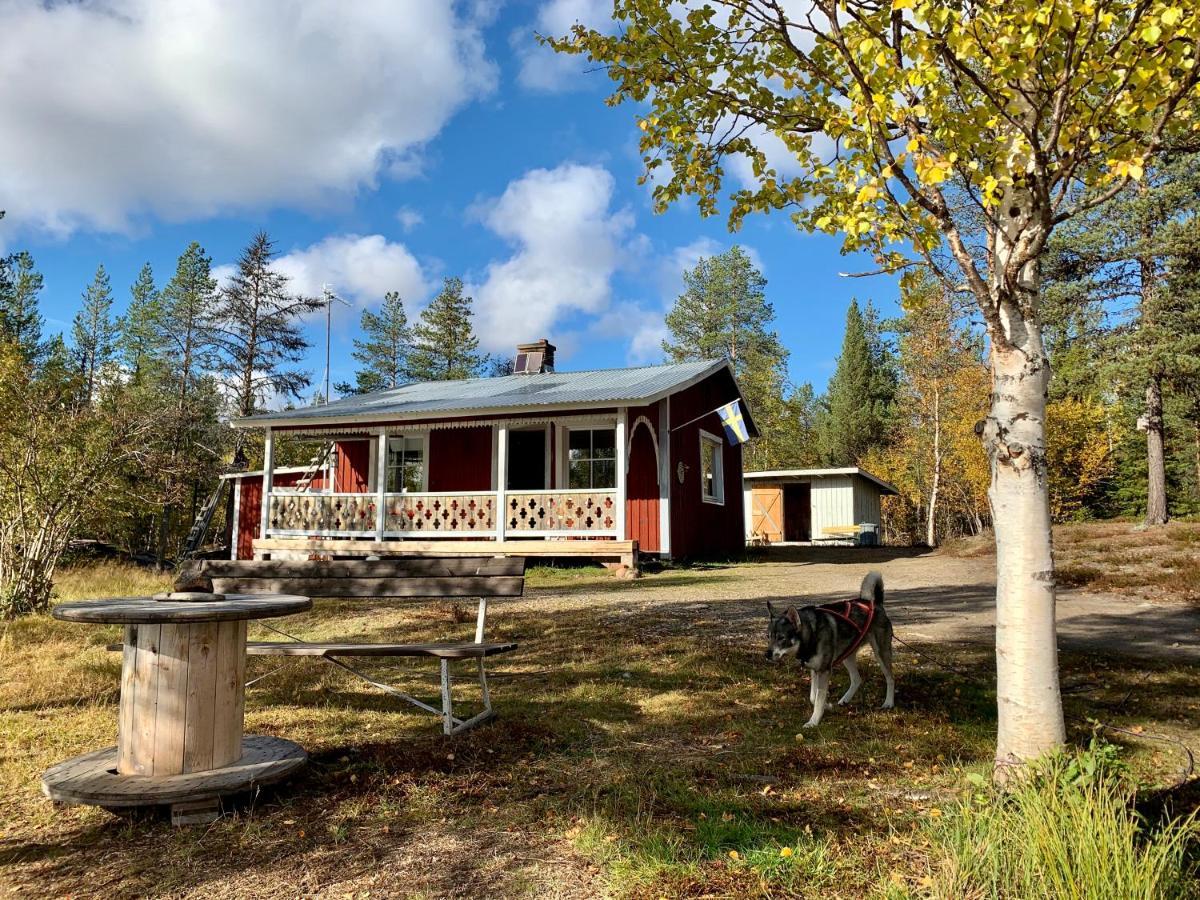 Off-Grid Cabin In Nattavaara Lapland Εξωτερικό φωτογραφία